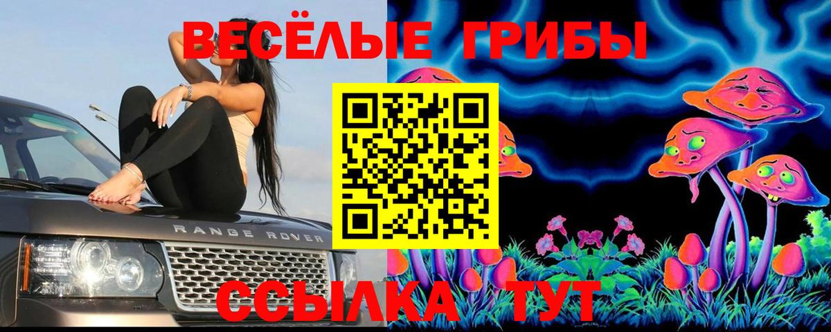 Псилоцибиновые грибы GOLDEN TEACHER Муравленко